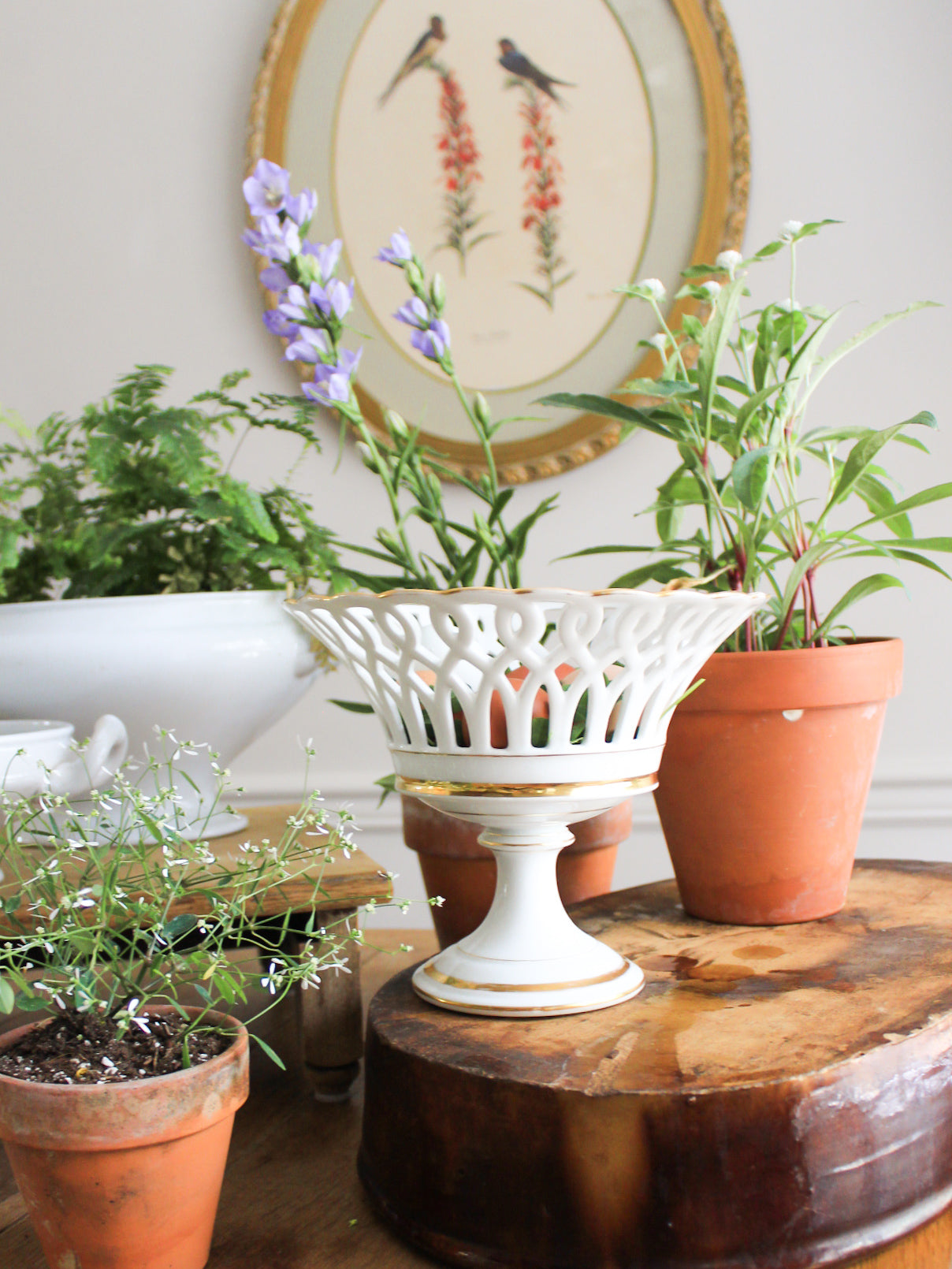 19c Old Paris Compote