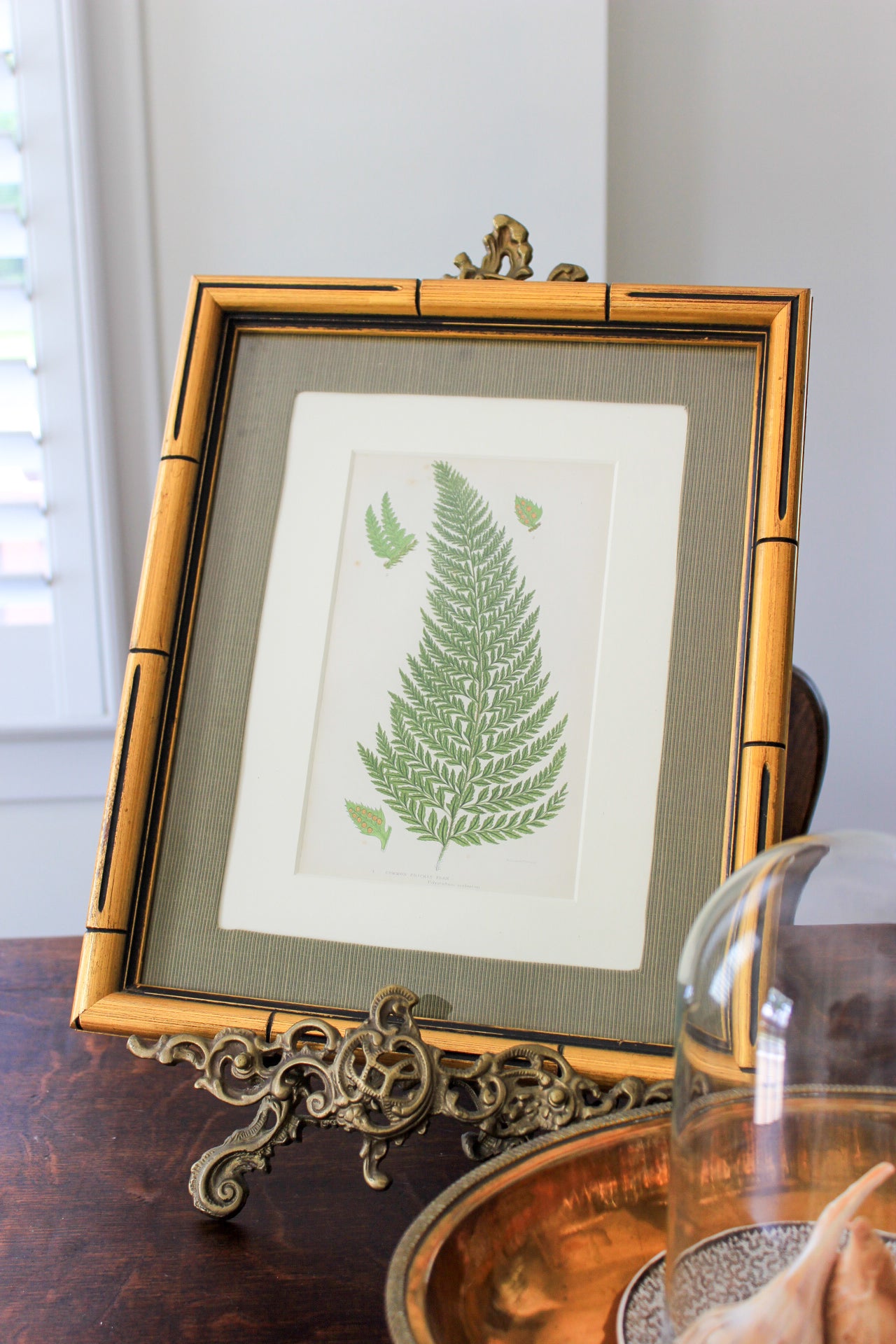 Antique Hand-Colored Botanical Engraving