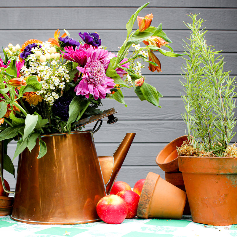 Vintage French Copper Watering Kettle