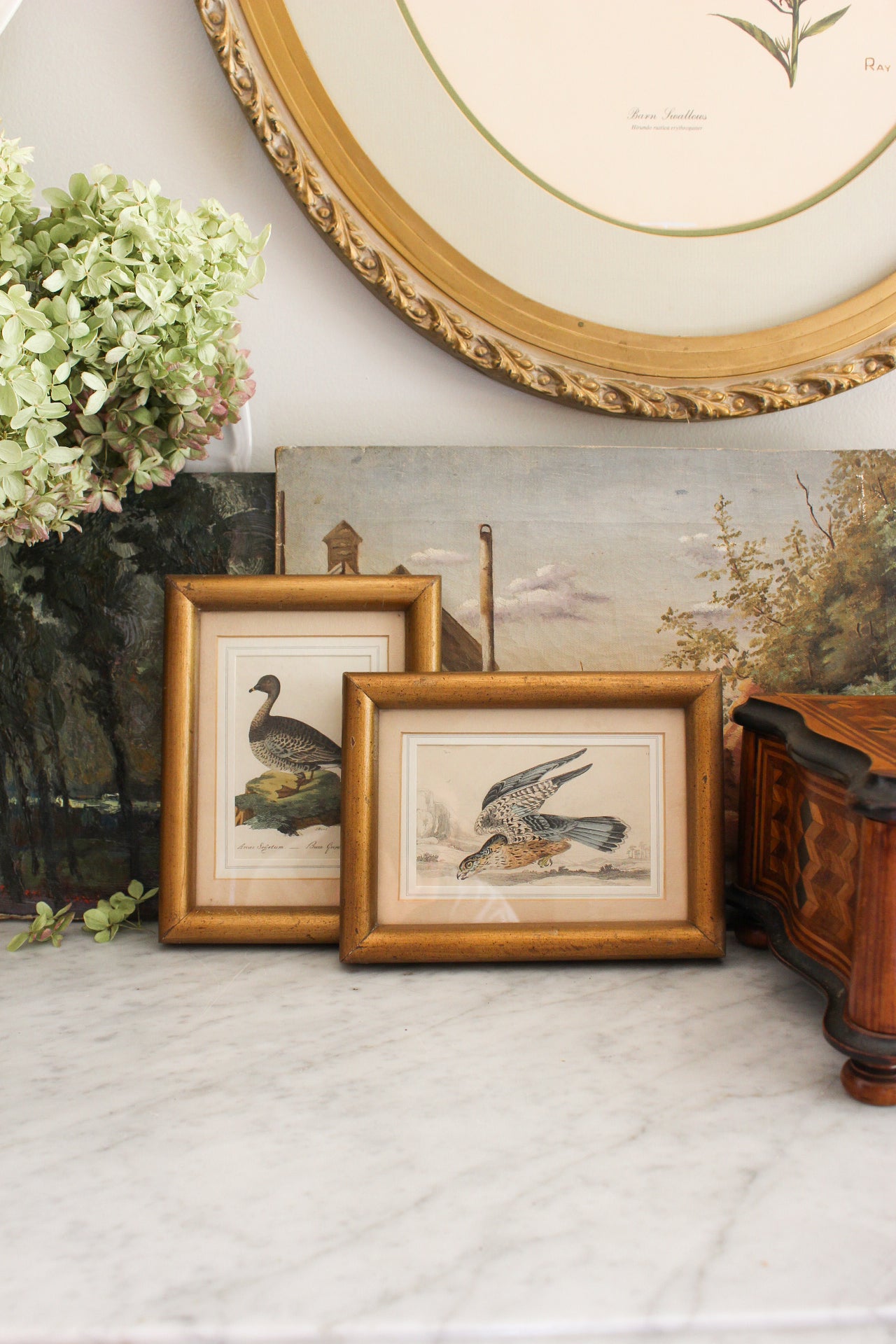 Pair of Antique Bird Engravings