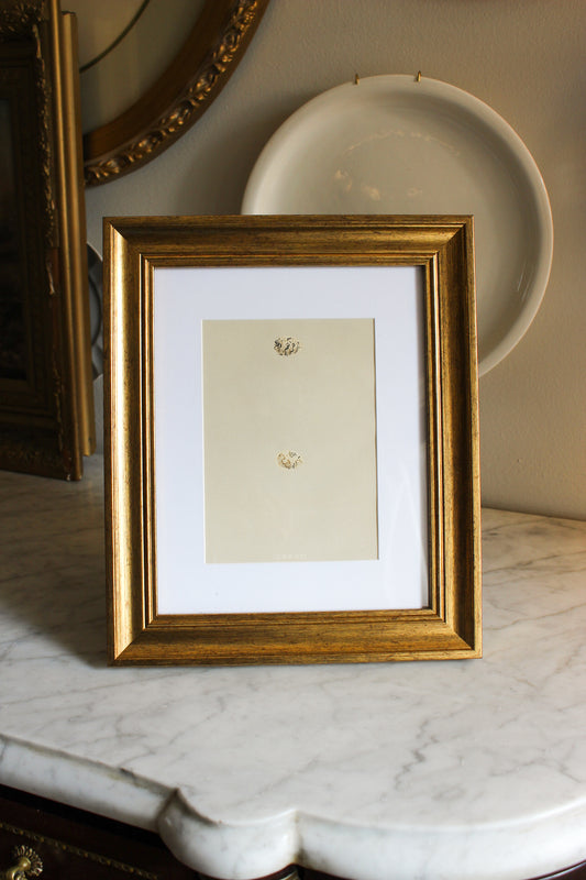 Antique Lithograph in Modern Frame