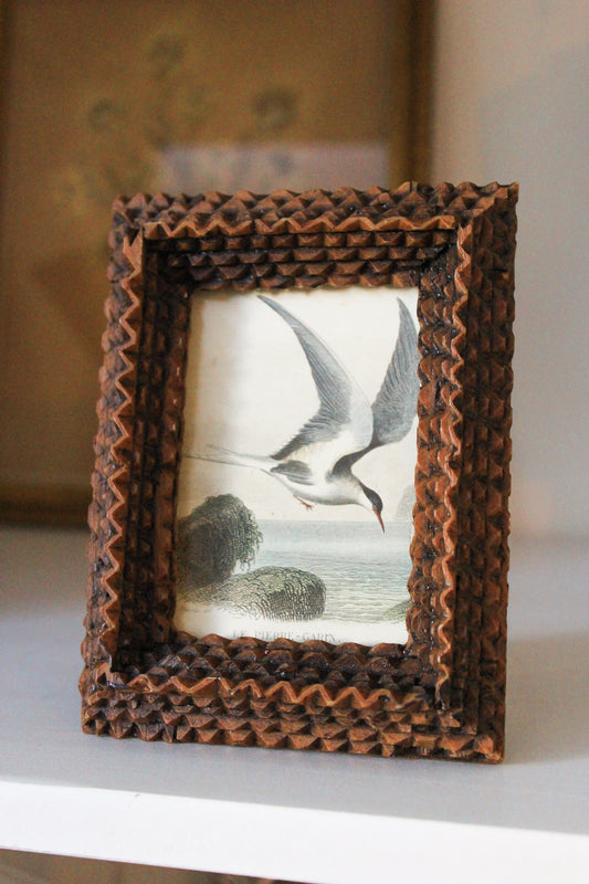 19th Century Hand-Colored Bird Engraving in Tramp Art Style Frame