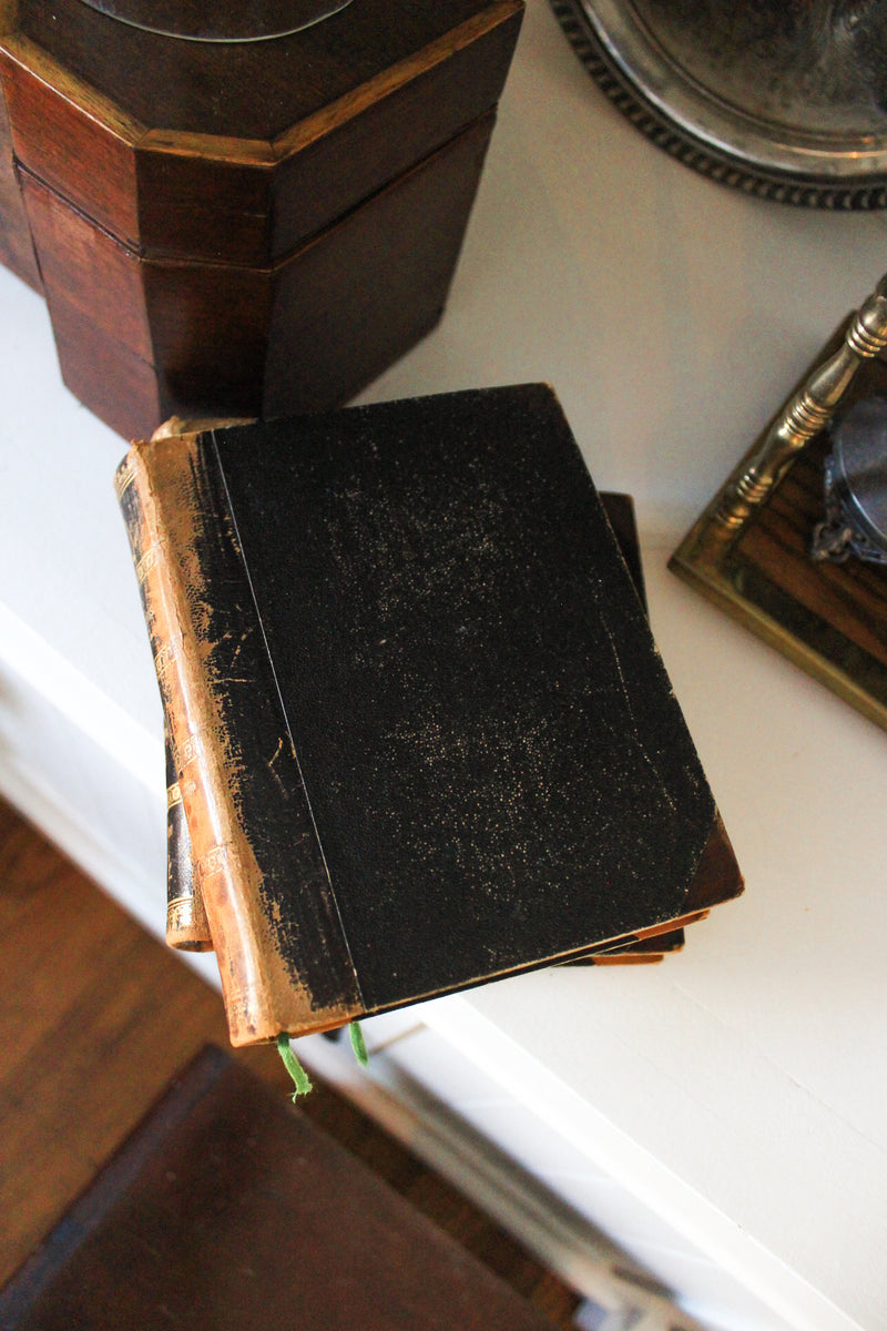 Set of Five Antique Danish Charles Dickens Volumes, 1876