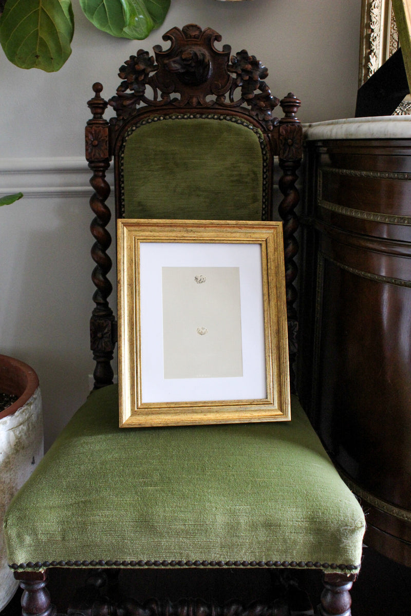 Antique Lithograph in Modern Frame