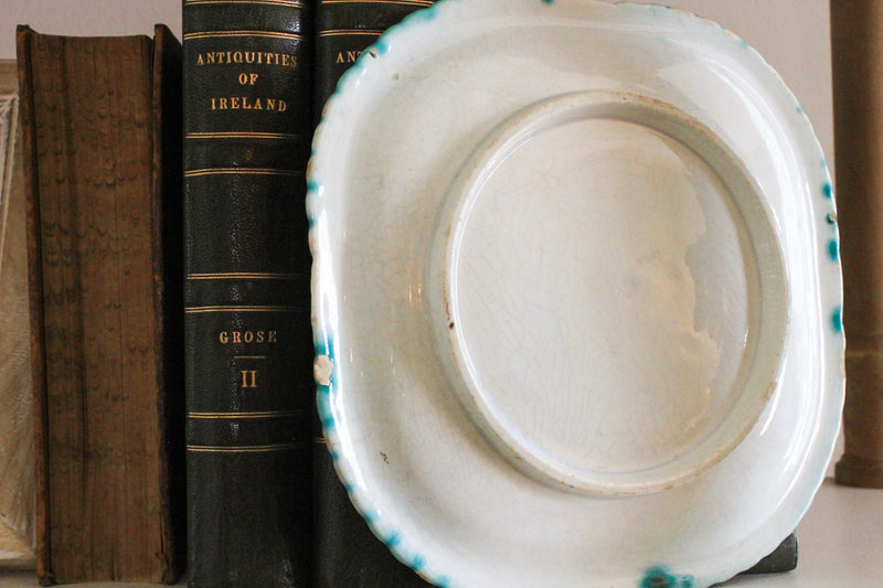 Antique Majolica Plate