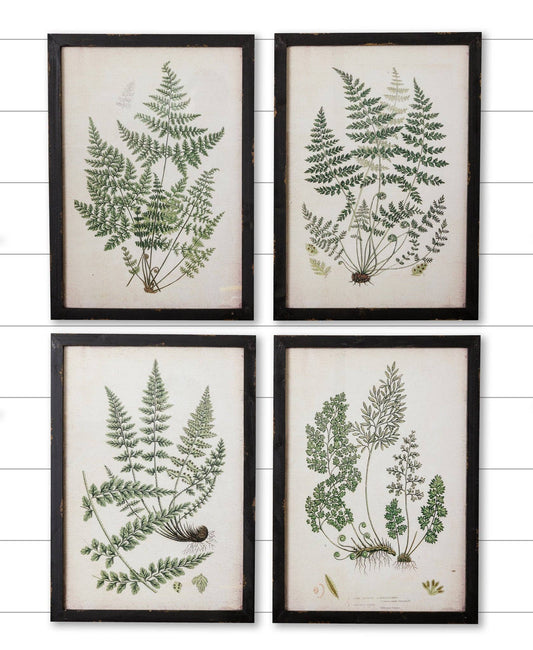 Set of Four Framed Fern Prints