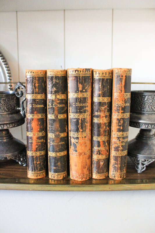 Set of Five Antique Danish Charles Dickens Volumes, 1876