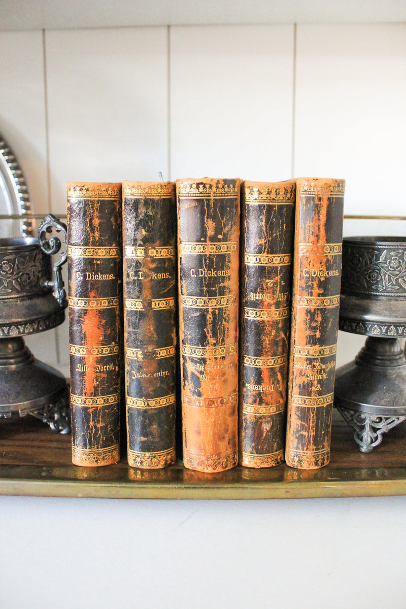 Set of Five Antique Danish Charles Dickens Volumes, 1876