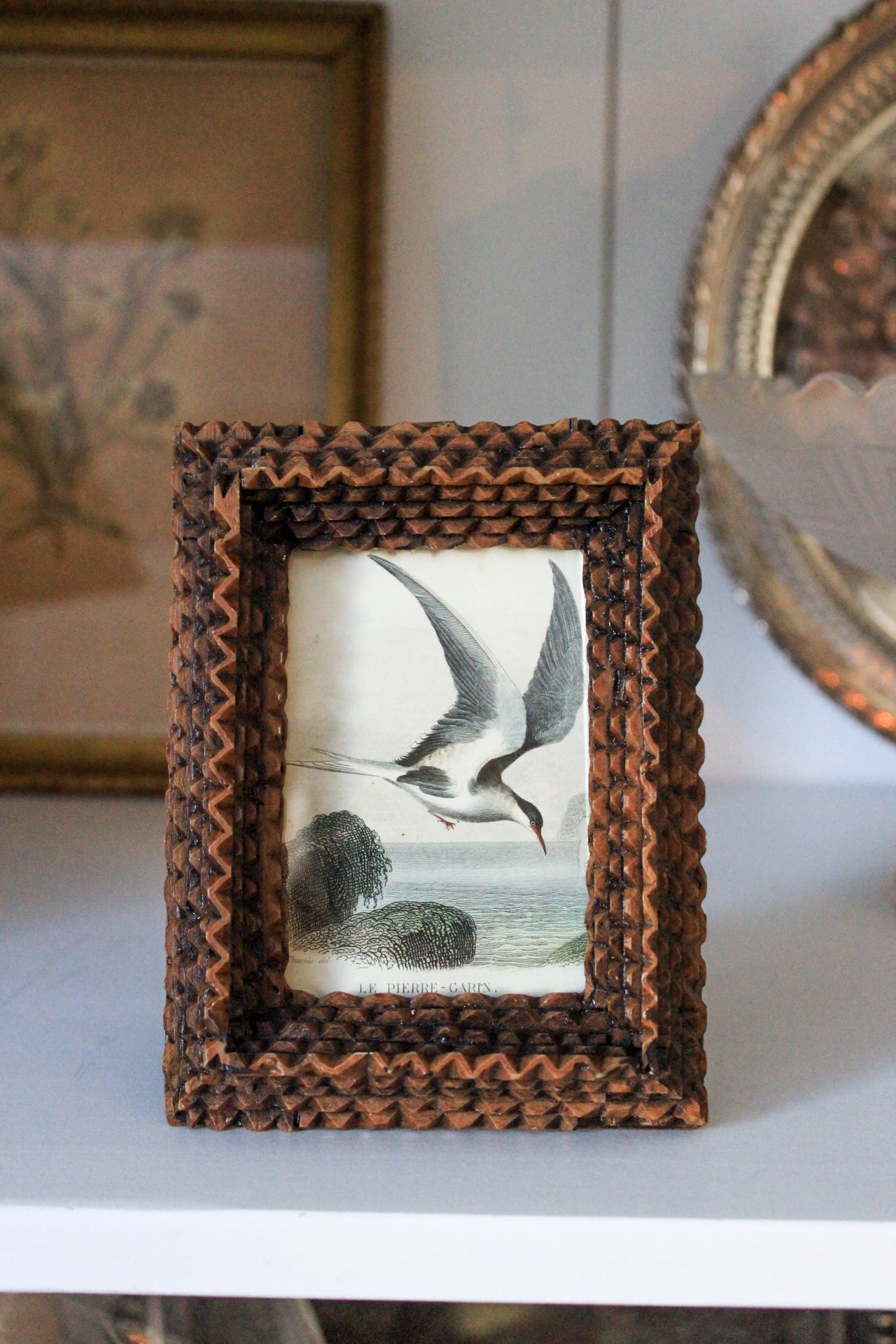 19th Century Hand-Colored Bird Engraving in Tramp Art Style Frame