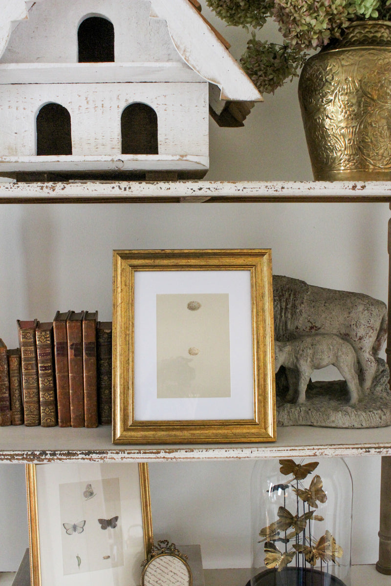 Antique Lithograph in Modern Frame