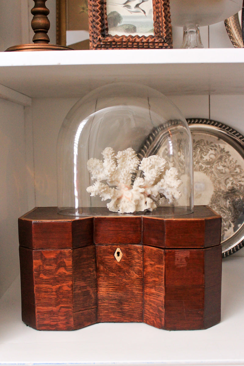 Georgian Style Antique Tea Caddy