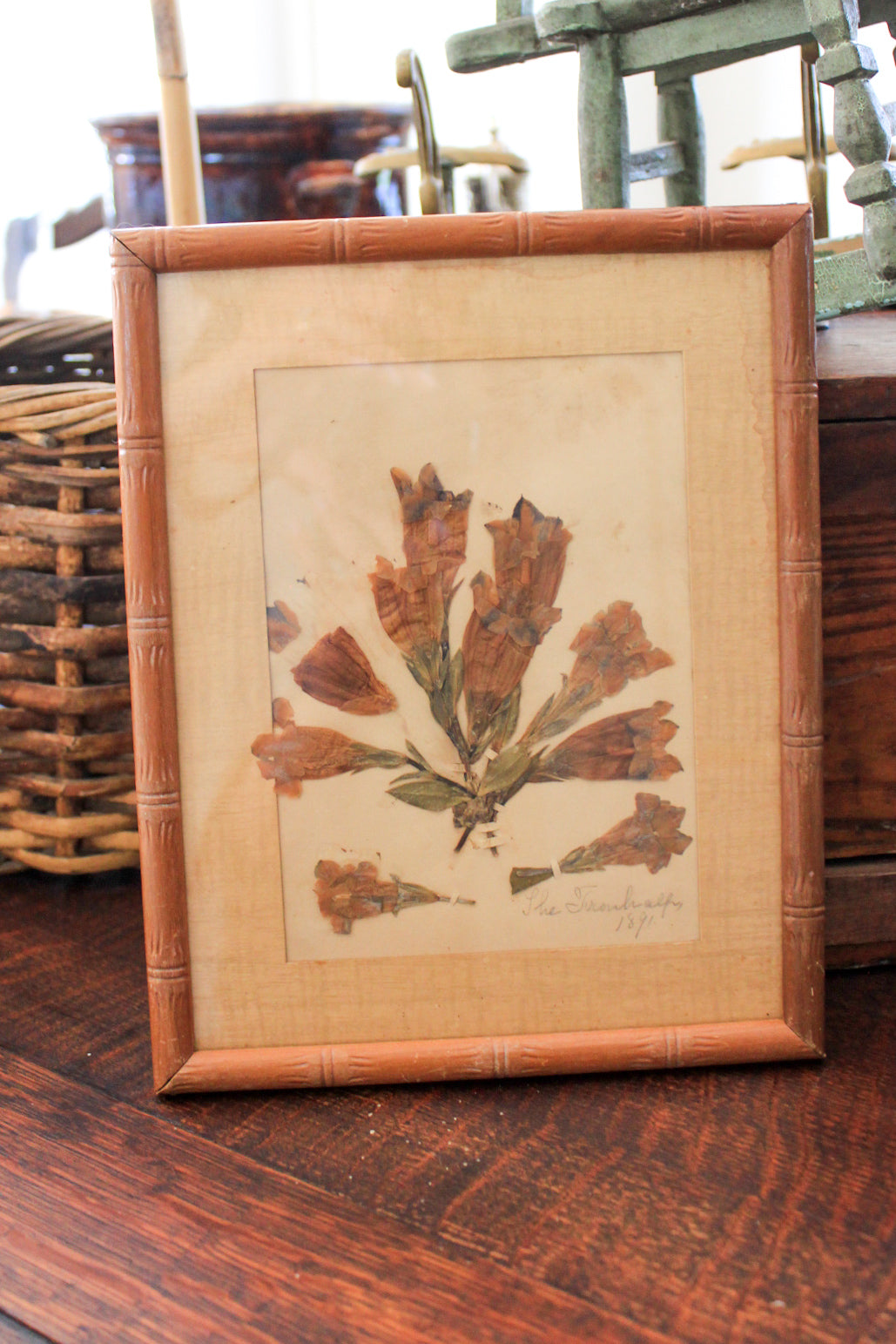 Antique Framed Pressed Botanical | 1871