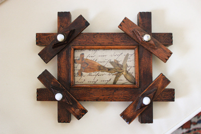 Antique Pressed Botanical in Adirondack Frame