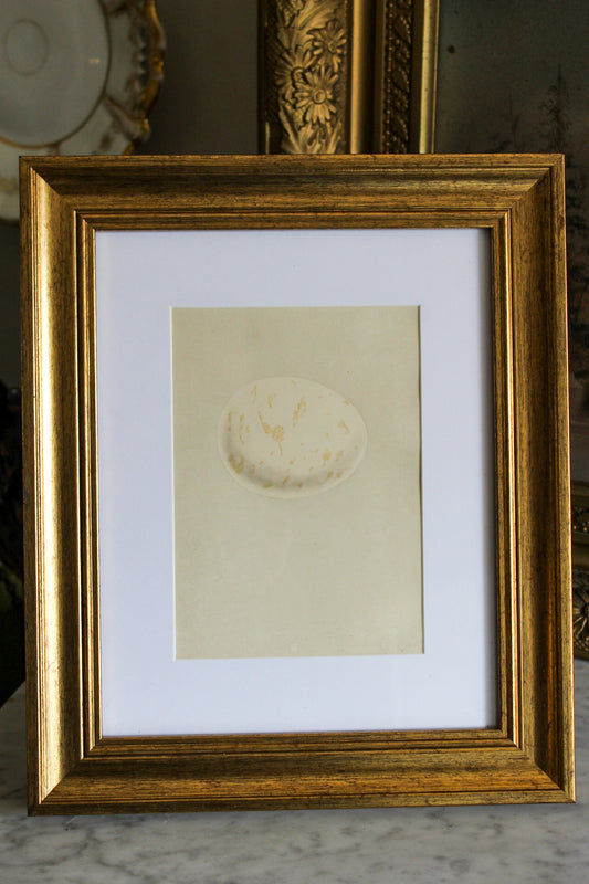 Antique Lithograph in Modern Gilt Frame