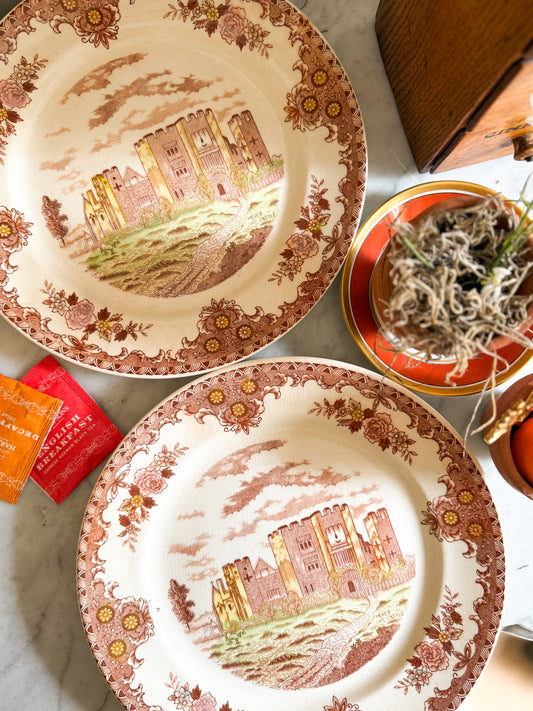 Vintage English Transferware Plate - Hove Castle