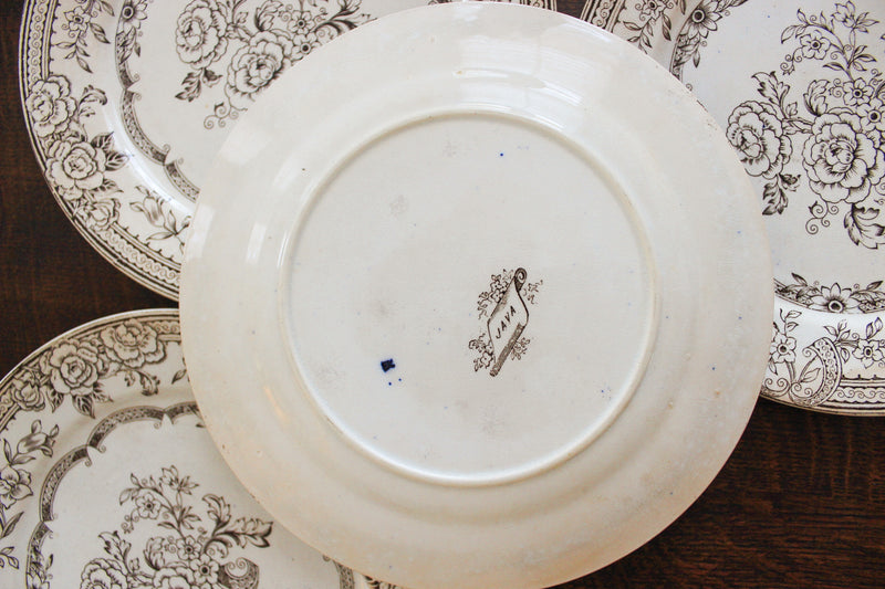 Brown Transfer Plates in Java Pattern | English mid 19c
